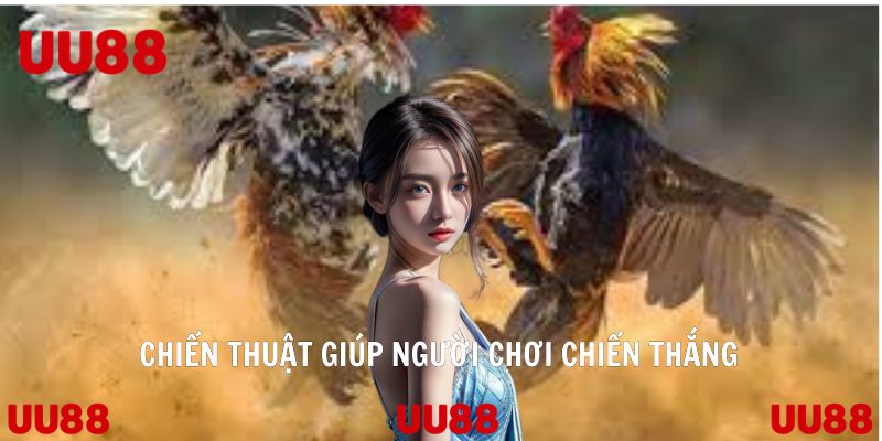 Đá Gà Cựa Sắt Trò Chơi Làm Mưa Làm Gió Của Nhà Cái UU88 - SPINLUMO69