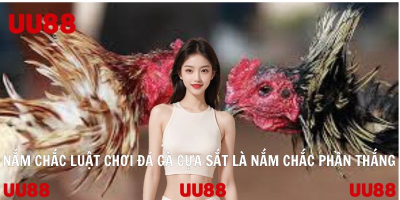 Đá Gà Cựa Sắt Trò Chơi Làm Mưa Làm Gió Của Nhà Cái UU88 - SPINLUMO69