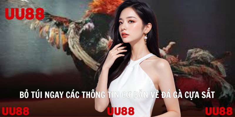 Đá Gà Cựa Sắt Trò Chơi Làm Mưa Làm Gió Của Nhà Cái UU88 - SPINLUMO69