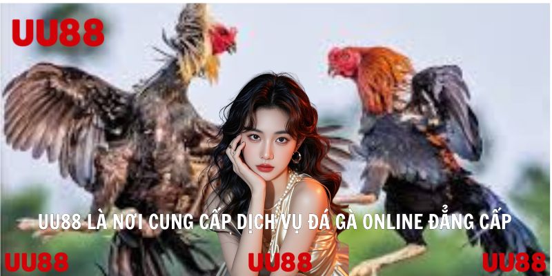 Đá Gà Online - Bộ Môn Giải Trí Trực Tuyến Của Giới Trẻ 2026 - SPINLUMO69
