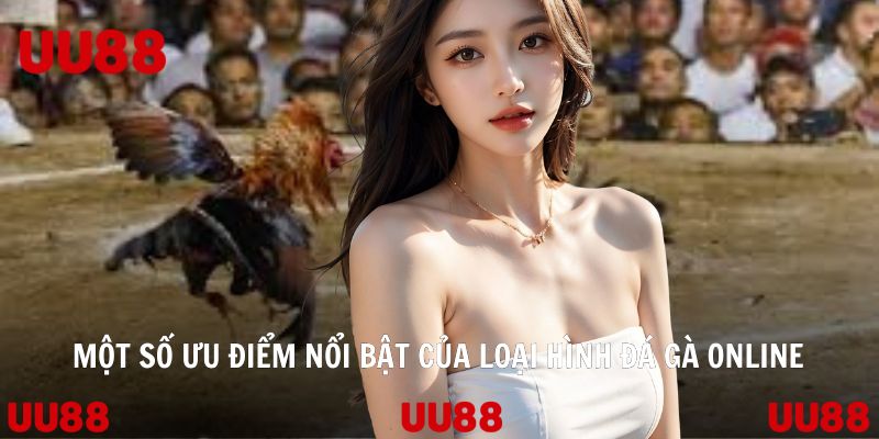 Đá Gà Online - Bộ Môn Giải Trí Trực Tuyến Của Giới Trẻ 2026 - SPINLUMO69