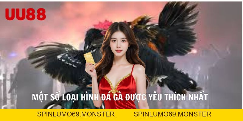 Đá Gà UU88 Điểm Hẹn Số 1 Của Hội Viên Đam Mê Cá Cược - SPINLUMO69