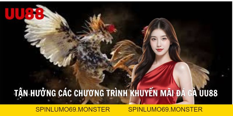 Đá Gà UU88 Điểm Hẹn Số 1 Của Hội Viên Đam Mê Cá Cược - SPINLUMO69